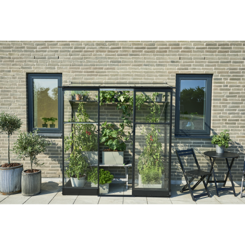 Halls Anlehngewächshaus ‚Qube Lean-to 26‘ 65 x 189 cm mit 3 mm Sicherheitsglas schwarz