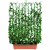 Hecke am laufenden Meter® Efeu ‚Woerneri‘ Balkon 130 x 100 cm