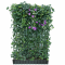 Hecke am laufenden Meter® Efeu ‚Woerneri’/Clematis violett 180 x 120 cm