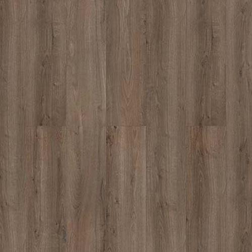 toom Laminat ‚Savanne‘ Eiche Bodman graubraun 7 mm